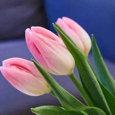 Unique Brick 2 - Old Town & Market Square Appartement