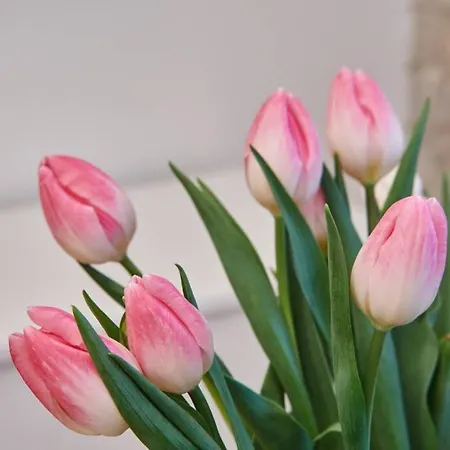 Unique Brick 2 - Old Town & Market Square Krakau